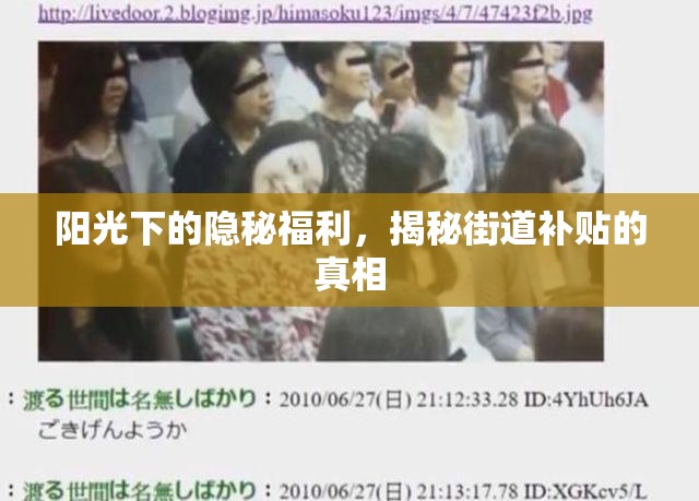 陽光下的隱秘福利，揭秘街道補(bǔ)貼的真相