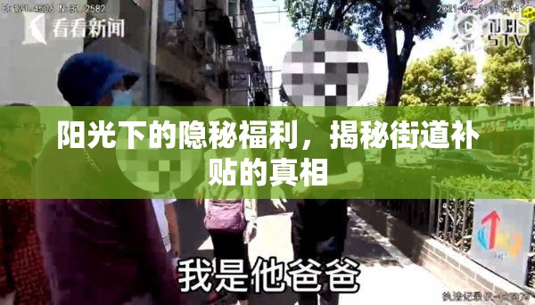 陽光下的隱秘福利，揭秘街道補(bǔ)貼的真相