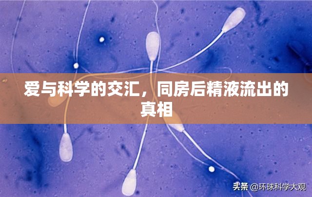 揭秘，愛與科學(xué)的交匯點(diǎn) - 同房后精液流出的科學(xué)解釋