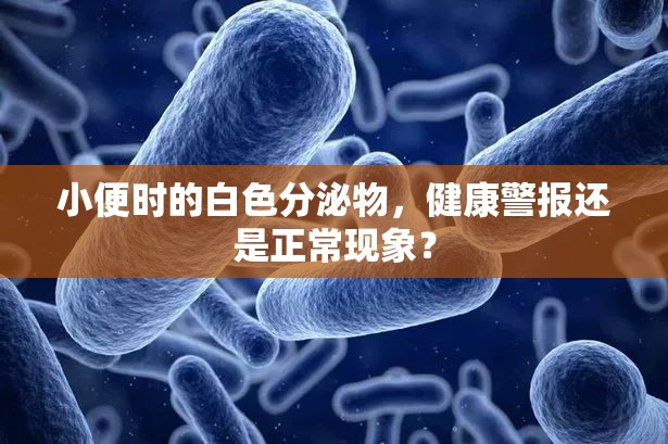 小便時(shí)的白色分泌物，健康警報(bào)還是正常現(xiàn)象？