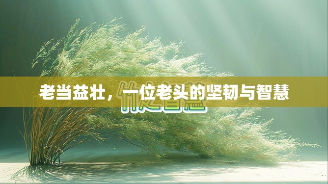 歲月鑄就的堅韌，一位老人的智慧與毅力
