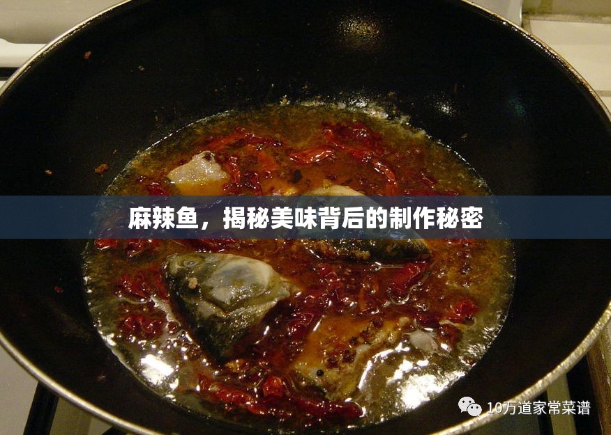 麻辣魚制作秘籍，探索美味背后的烹飪技巧