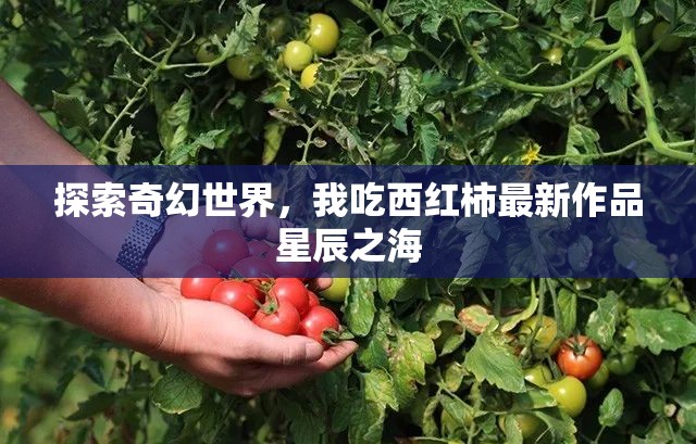 探索奇幻世界，我吃西紅柿最新作品星辰之海
