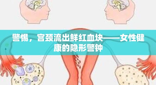 警惕，宮頸流出鮮紅血塊——女性健康的隱形警鐘