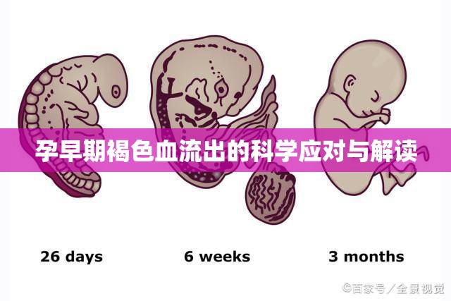孕早期褐色分泌物的科學(xué)處理與原因解析