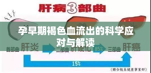 孕早期褐色分泌物的科學(xué)處理與原因解析