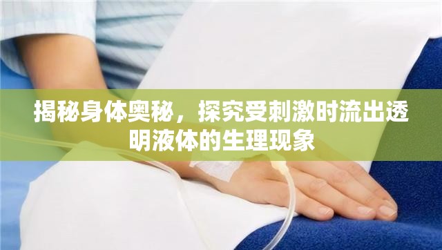揭秘身體奧秘，探究受刺激時流出透明液體的生理現(xiàn)象