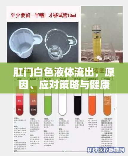 肛門白色液體流出，原因、應(yīng)對(duì)策略與健康護(hù)理指南