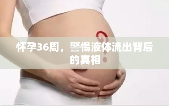 懷孕36周，警惕液體流出背后的真相