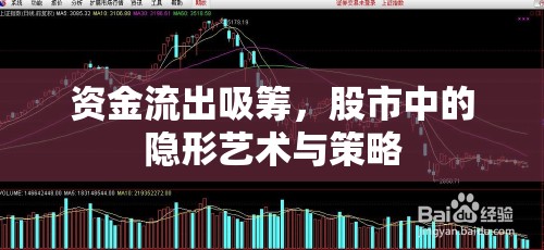 資金流出吸籌，股市中的隱形藝術(shù)與策略