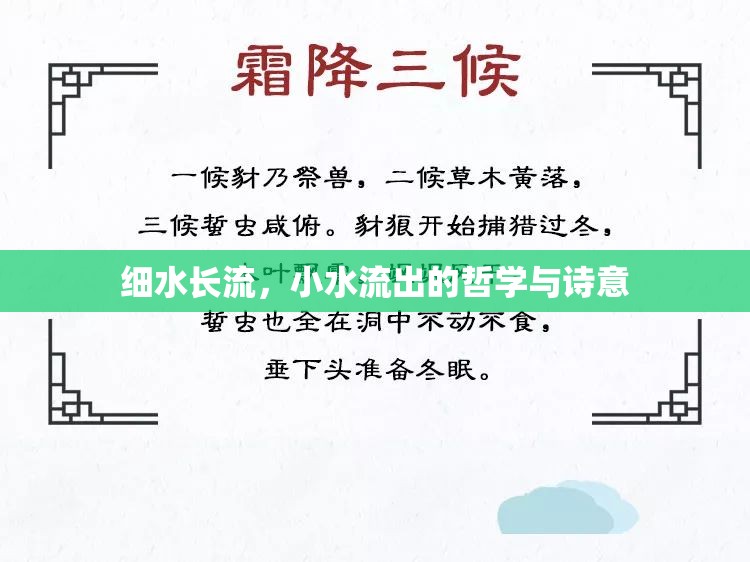 細水長流，小水流出的哲學與詩意
