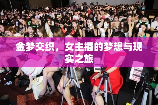 金夢交織，女主播的夢想與現(xiàn)實之旅