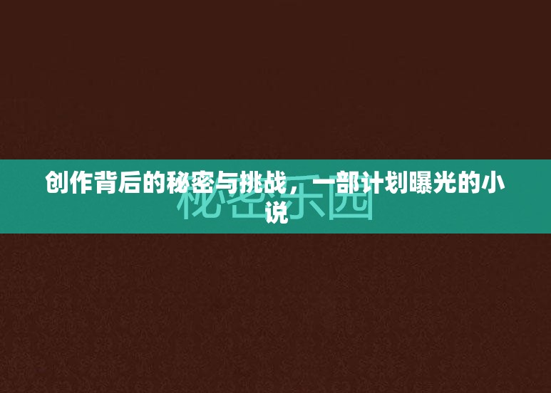 揭秘創(chuàng)作，一部小說的誕生與挑戰(zhàn)