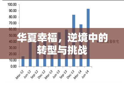 華夏幸福，逆境中的轉(zhuǎn)型與挑戰(zhàn)