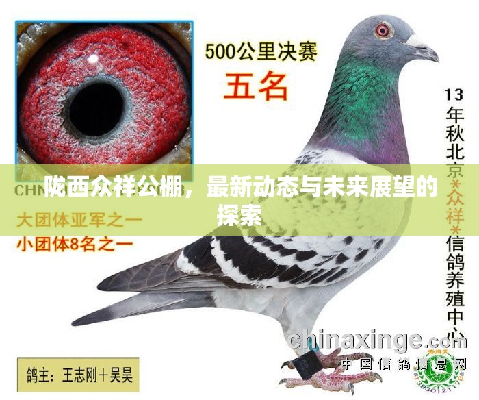 隴西眾祥公棚，最新動態(tài)與未來展望的探索