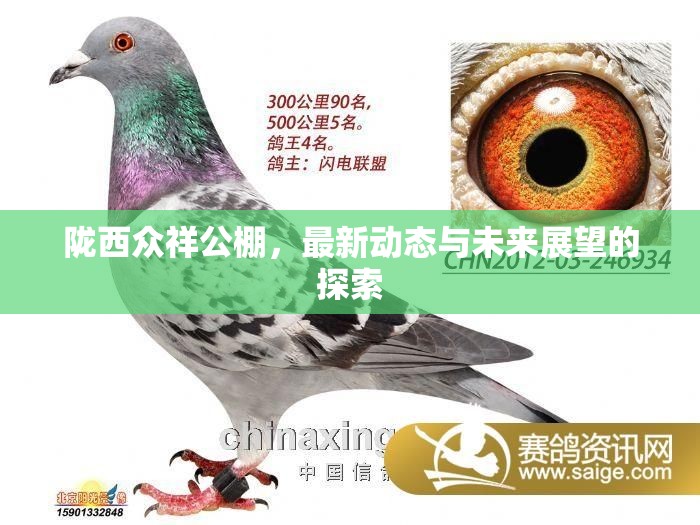 隴西眾祥公棚，最新動態(tài)與未來展望的探索