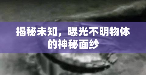 揭秘未知，曝光不明物體的神秘面紗