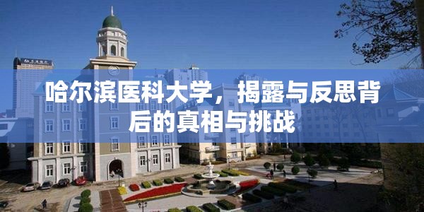 哈爾濱醫(yī)科大學，真相與挑戰(zhàn)的深度剖析