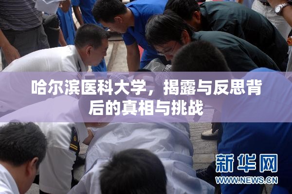 哈爾濱醫(yī)科大學，真相與挑戰(zhàn)的深度剖析