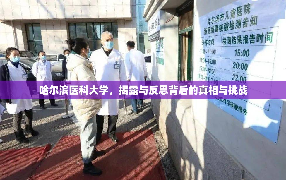哈爾濱醫(yī)科大學，真相與挑戰(zhàn)的深度剖析