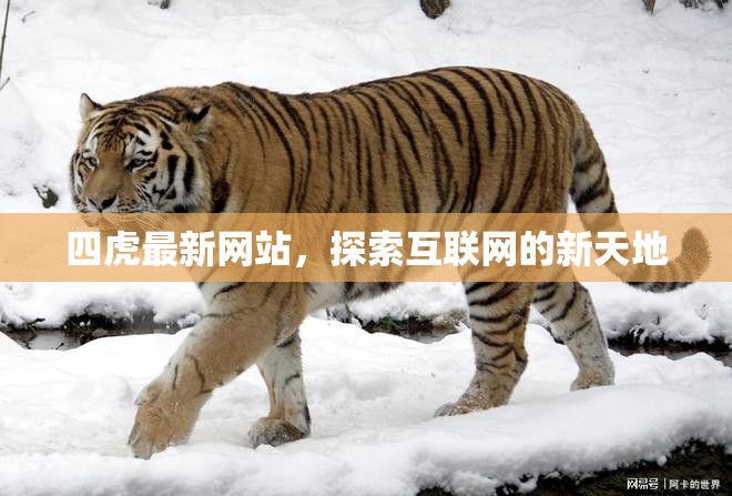 四虎最新網(wǎng)站，探索互聯(lián)網(wǎng)的新天地