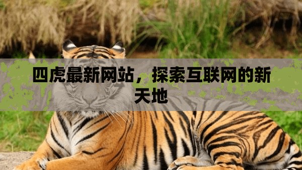 四虎最新網(wǎng)站，探索互聯(lián)網(wǎng)的新天地