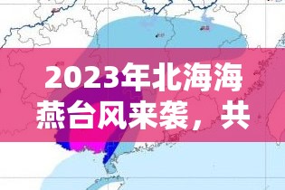 2023年北海海燕臺風(fēng)，共筑防臺安全網(wǎng)