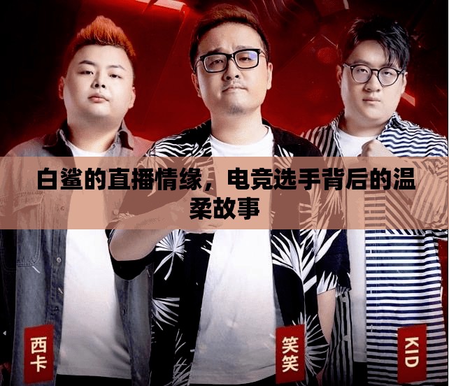 白鯊直播，電競(jìng)戰(zhàn)場(chǎng)上的柔情篇章