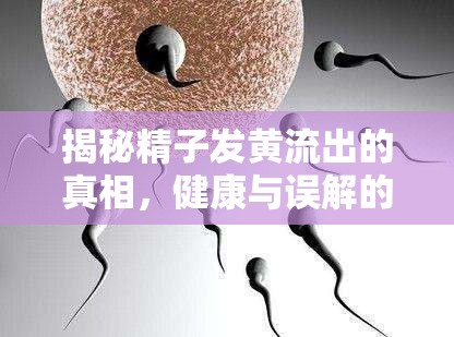 揭秘精子發(fā)黃流出的真相，健康與誤解的交織