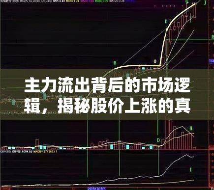 揭秘，股價上漲背后的市場邏輯與主力資金流向