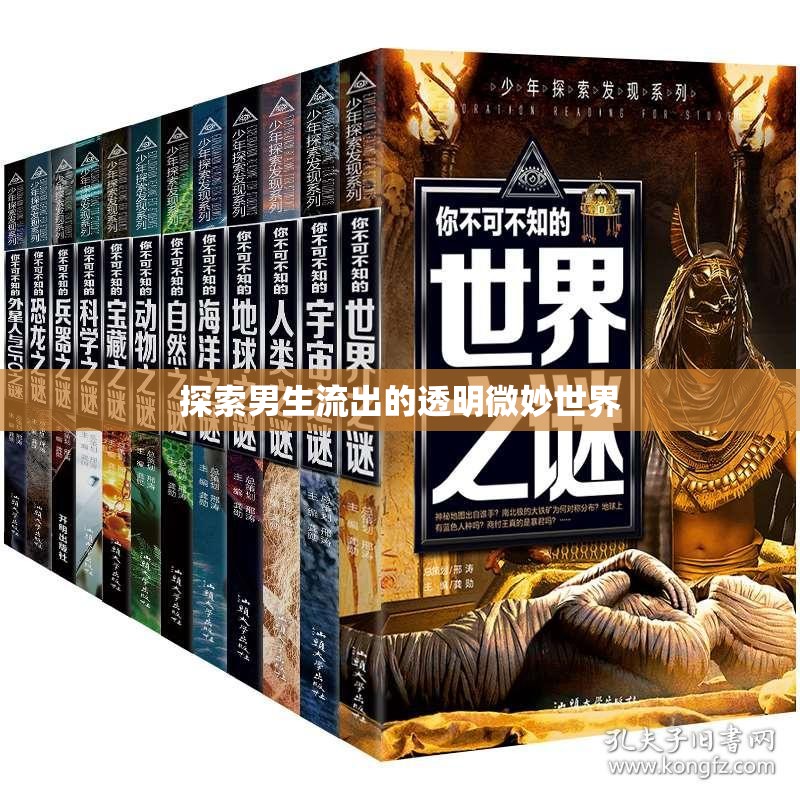 揭秘男性情感的透明微妙世界