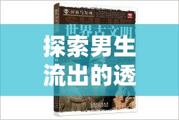 揭秘男性情感的透明微妙世界