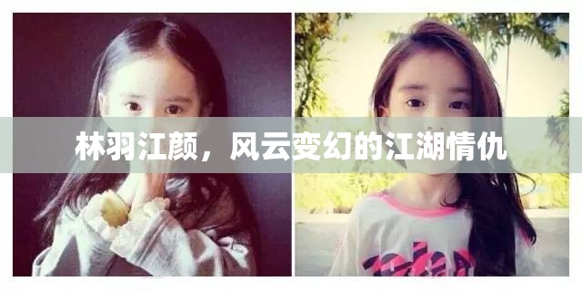 江湖風(fēng)云，林羽江顏的情仇錄