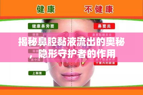 揭秘鼻腔黏液流出的奧秘，隱形守護者的作用