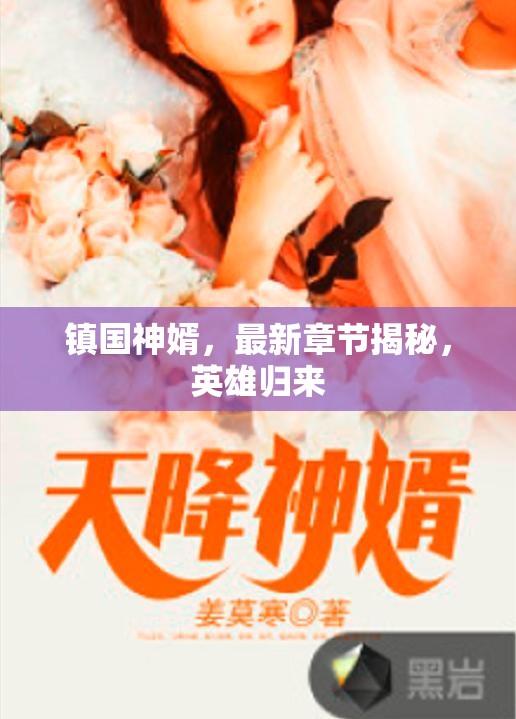 鎮(zhèn)國神婿，英雄歸來的最新章節(jié)揭秘