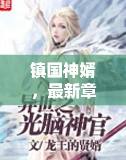 鎮(zhèn)國神婿，英雄歸來的最新章節(jié)揭秘