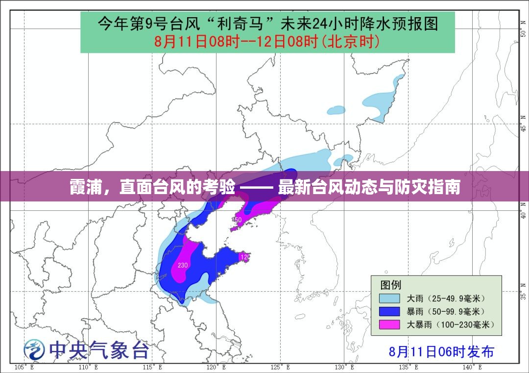 霞浦臺(tái)風(fēng)防御，最新動(dòng)態(tài)與應(yīng)對(duì)策略