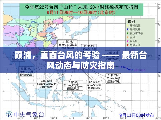 霞浦臺(tái)風(fēng)防御，最新動(dòng)態(tài)與應(yīng)對(duì)策略