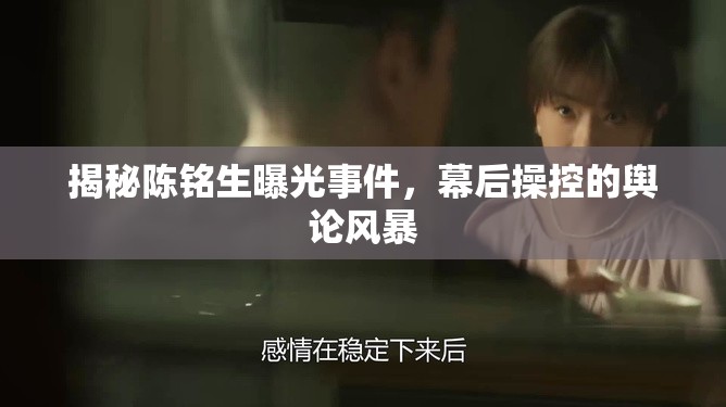 揭秘陳銘生曝光事件，幕后操控的輿論風(fēng)暴