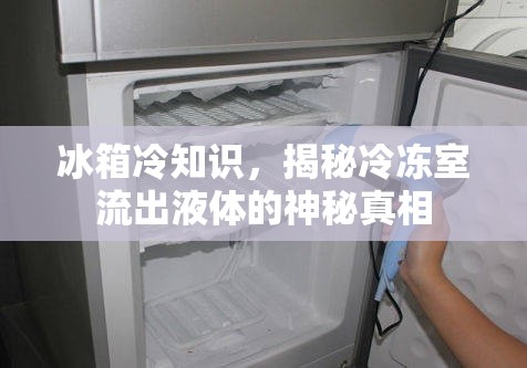 冰箱冷知識，揭秘冷凍室流出液體的神秘真相