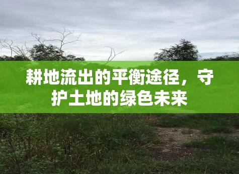 耕地保護(hù)與綠色發(fā)展，平衡土地利用的未來路徑