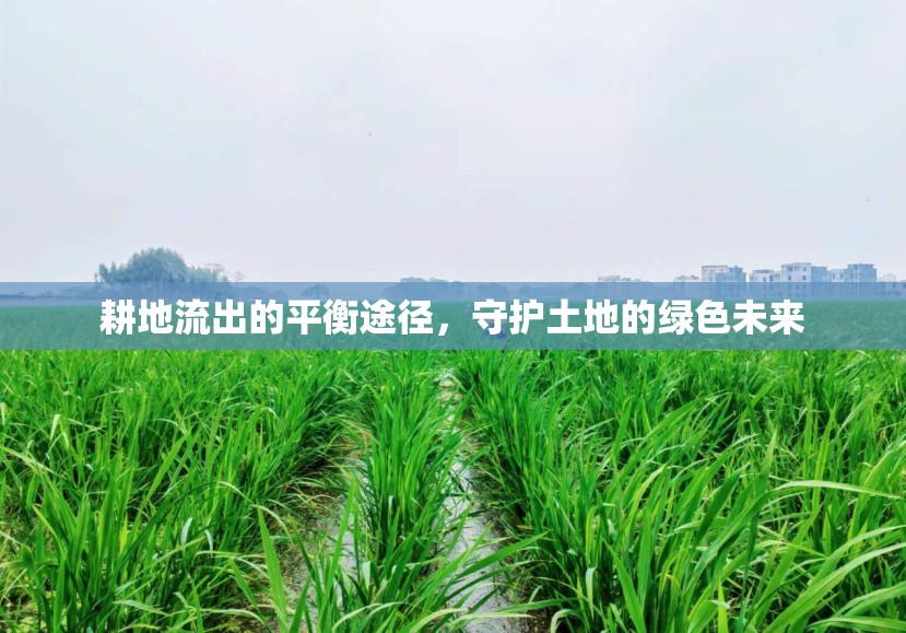 耕地保護(hù)與綠色發(fā)展，平衡土地利用的未來路徑