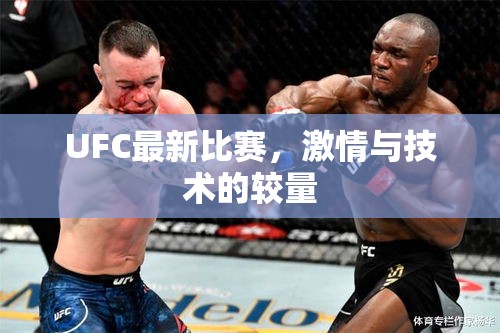 UFC最新比賽，激情與技術的較量