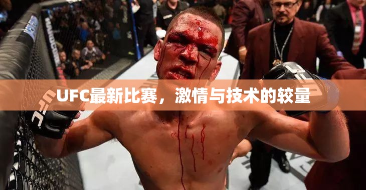 UFC最新比賽，激情與技術的較量