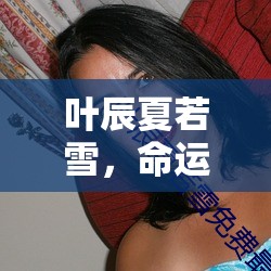 葉辰夏若雪，命運(yùn)的交織