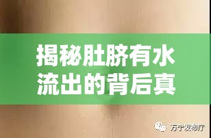 肚臍異常滲液的醫(yī)學(xué)探秘