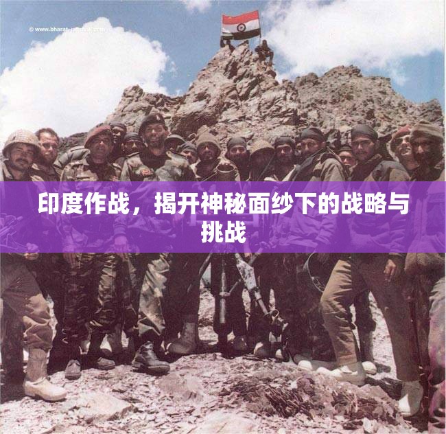 印度作戰(zhàn)，揭開神秘面紗下的戰(zhàn)略與挑戰(zhàn)