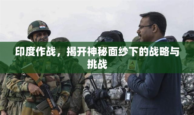印度作戰(zhàn)，揭開神秘面紗下的戰(zhàn)略與挑戰(zhàn)