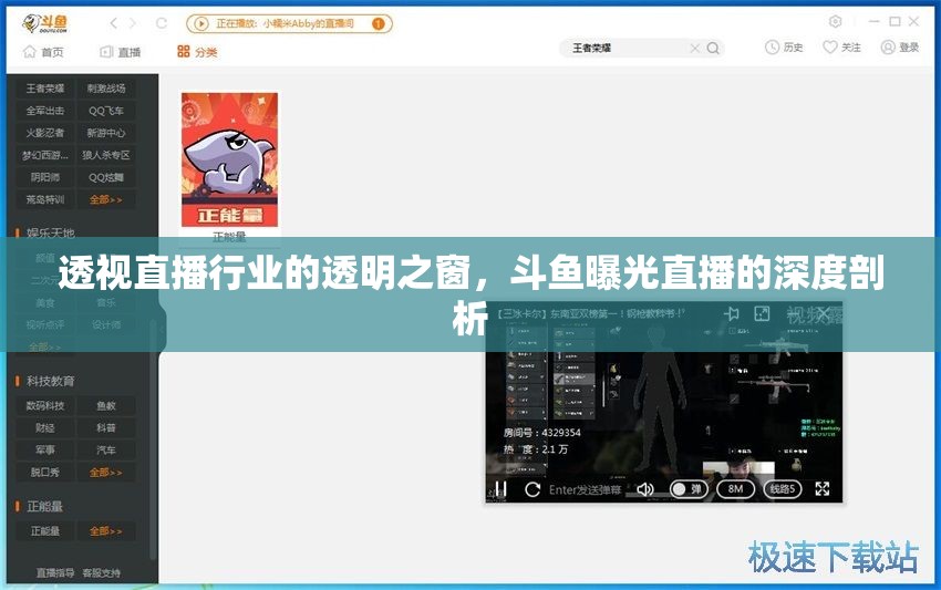 斗魚直播深度剖析，透視行業(yè)的透明之窗