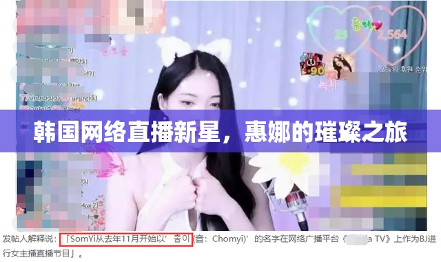 惠娜，韓國網(wǎng)絡(luò)直播新星的璀璨之旅
